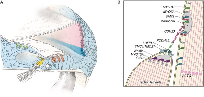 Figure 27