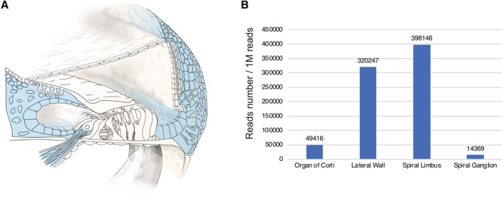 Figure 39