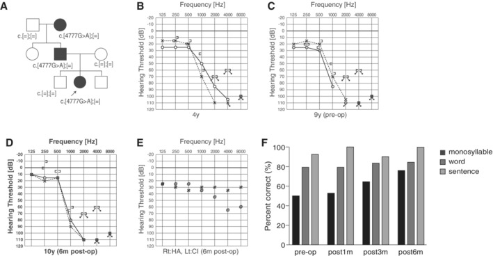 Figure 24