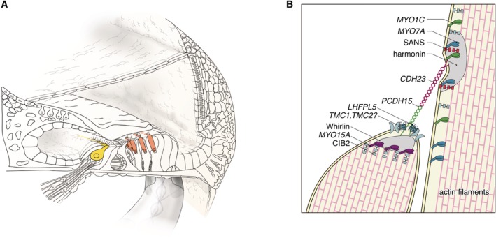 Figure 23