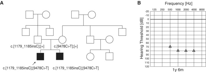 Figure 25