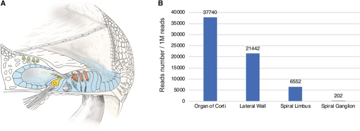 Figure 30