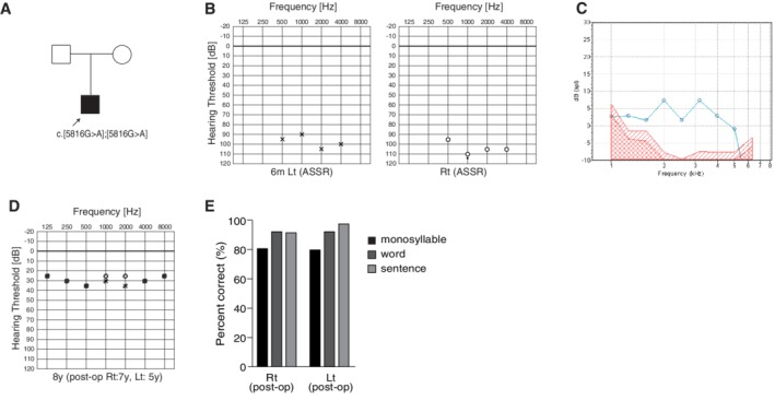 Figure 34