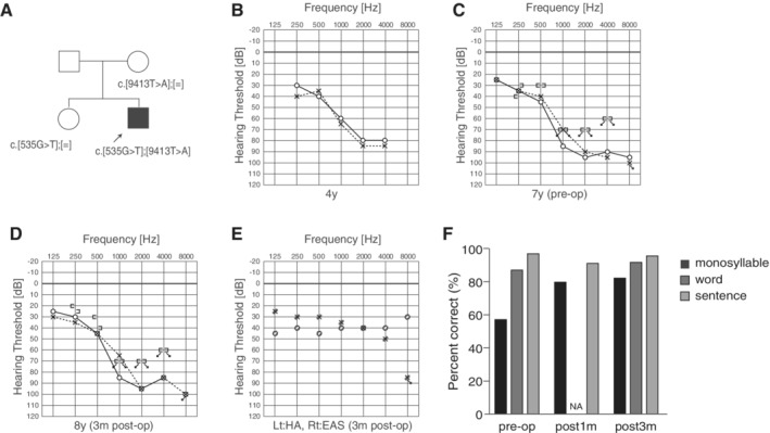 Figure 26