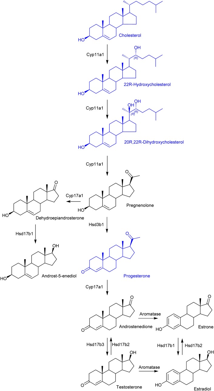 Fig. 5.