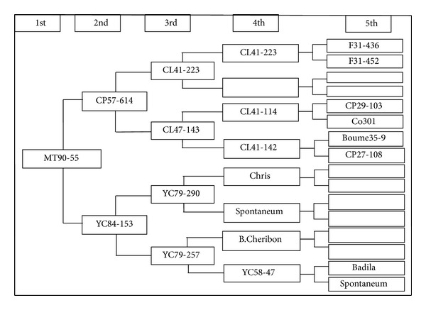 Figure 5