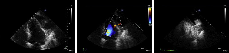 Fig. 6