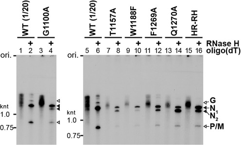 Figure 6.