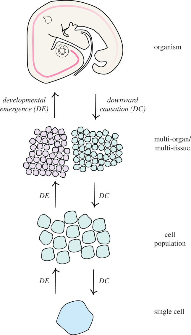 Figure 5. 