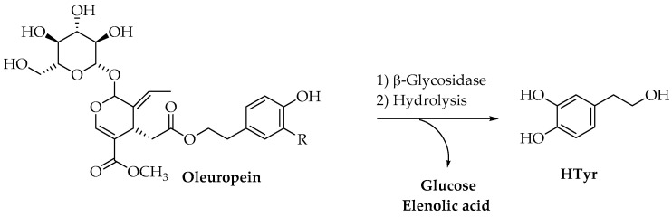 Scheme 2