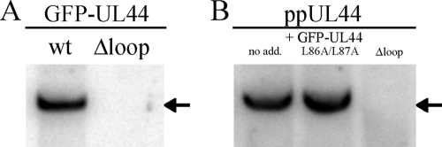 FIG. 6.