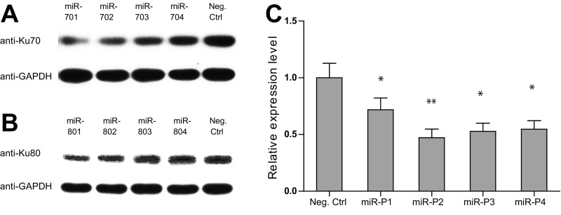 Fig. S3.