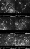 Fig. 4