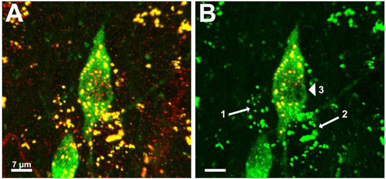 Figure 3.