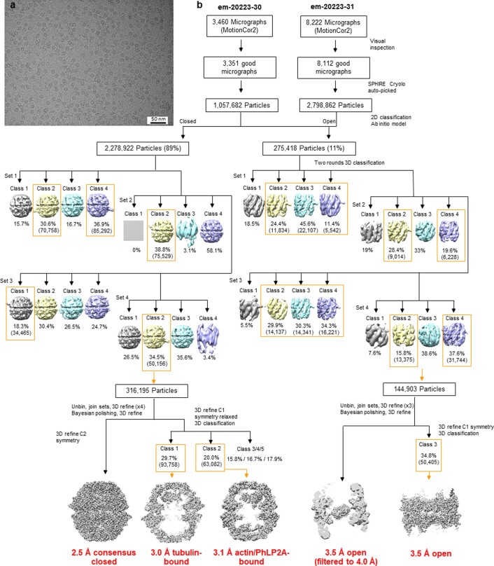 Extended Data Fig. 4