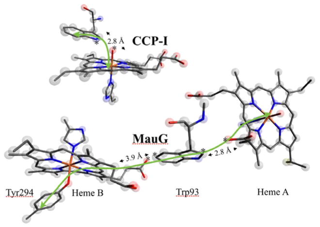 Fig. 11