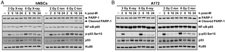 Fig. 4.