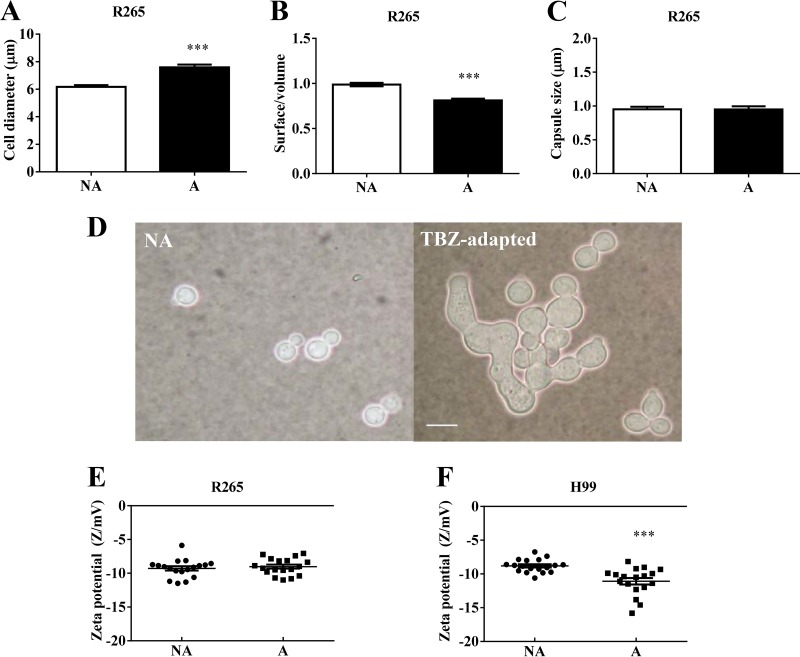 FIG 1