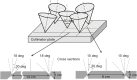 Figure 24