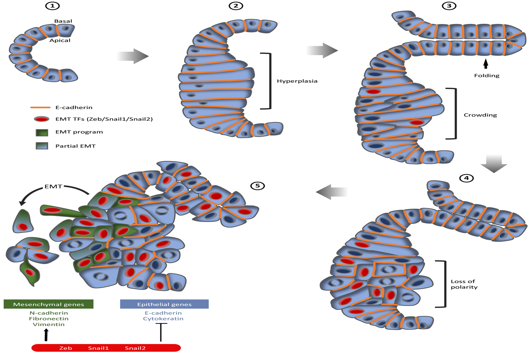 Figure 6: