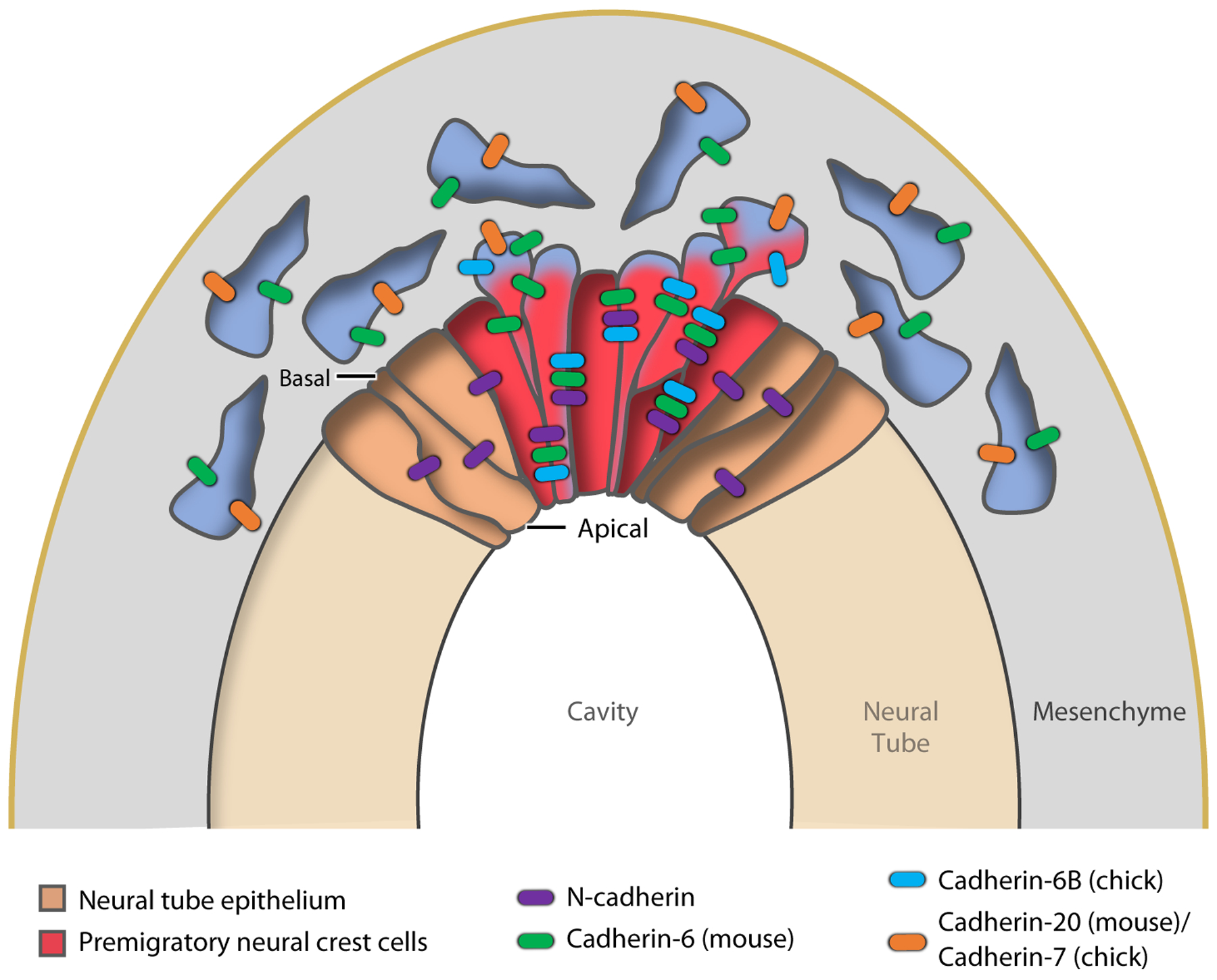 Figure 5: