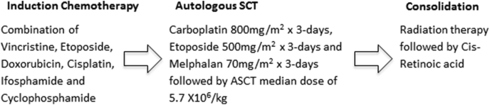 Fig. 1