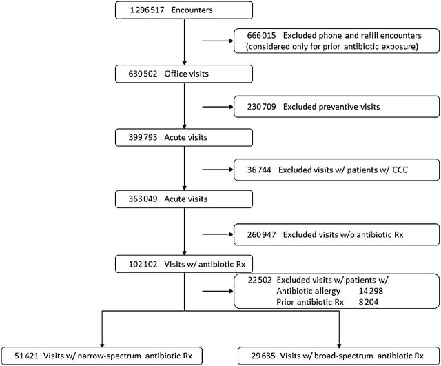 FIGURE 1. Description of the study cohort. CCC, complex chronic condition; Rx, prescription; w/, with; w/o, without.