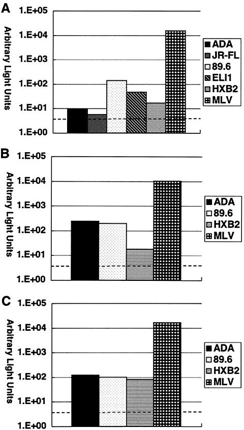 FIG. 1.