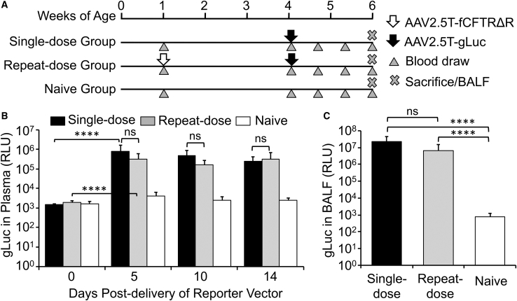 Figure 2