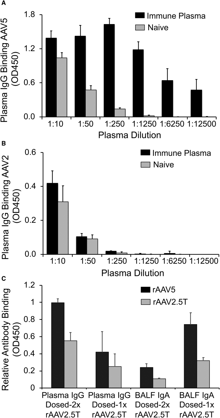 Figure 5