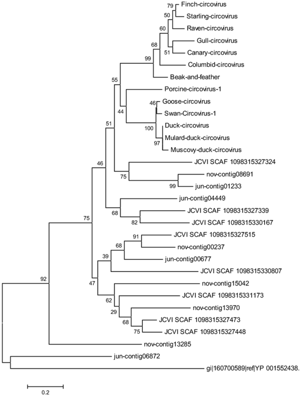 Figure 7