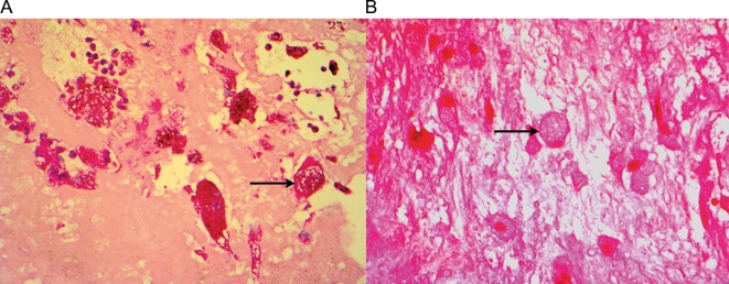 Figure 2: