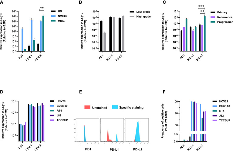 Figure 2