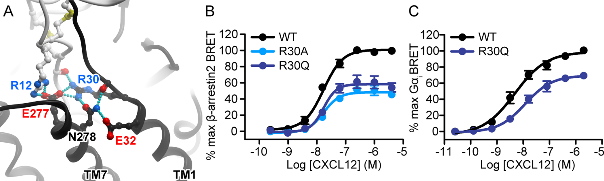 Fig. 3.