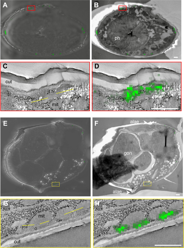 Figure 3—figure supplement 2.