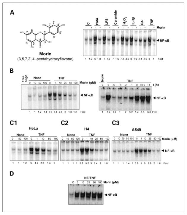 Fig.1