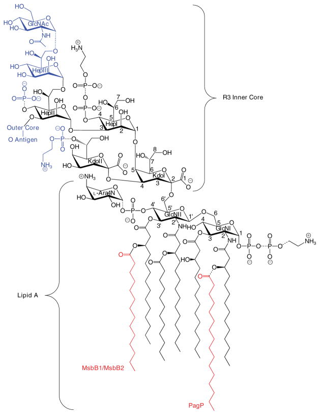 FIGURE 1