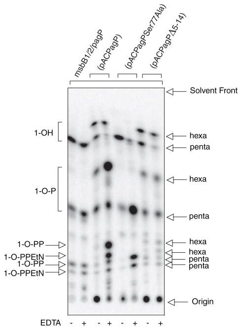 FIGURE 6