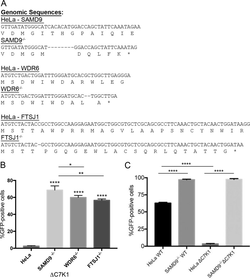 FIG 1