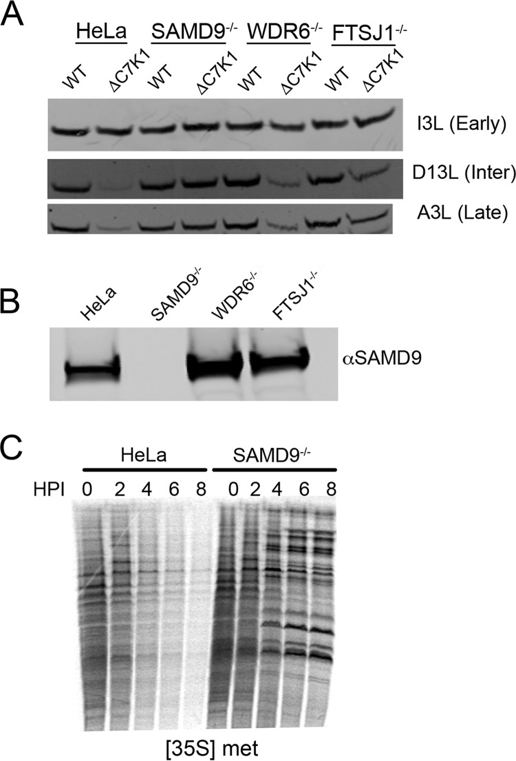 FIG 2