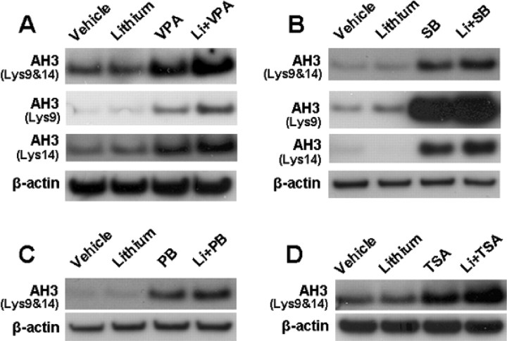 Figure 12.