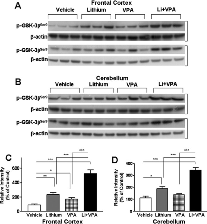 Figure 13.