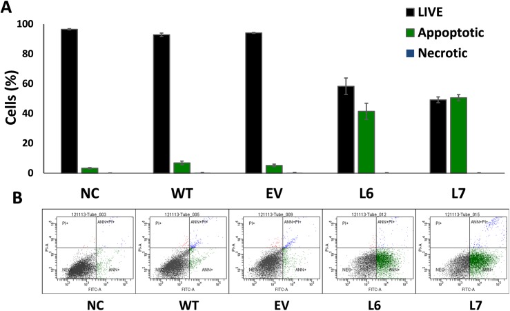 Fig 6