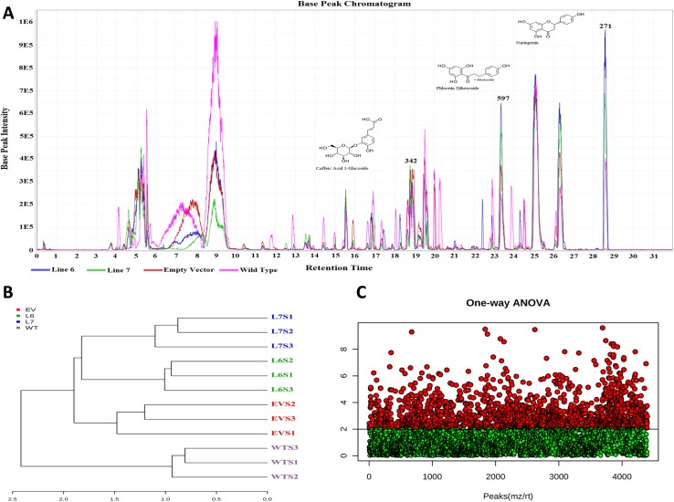 Fig 3