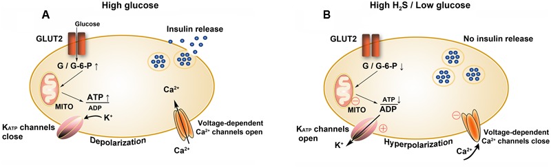 FIGURE 11