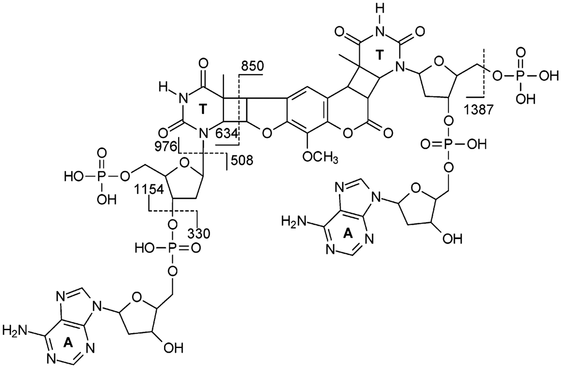 Scheme 3.