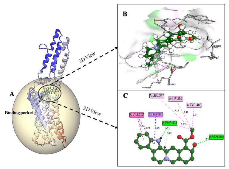 Figure 6