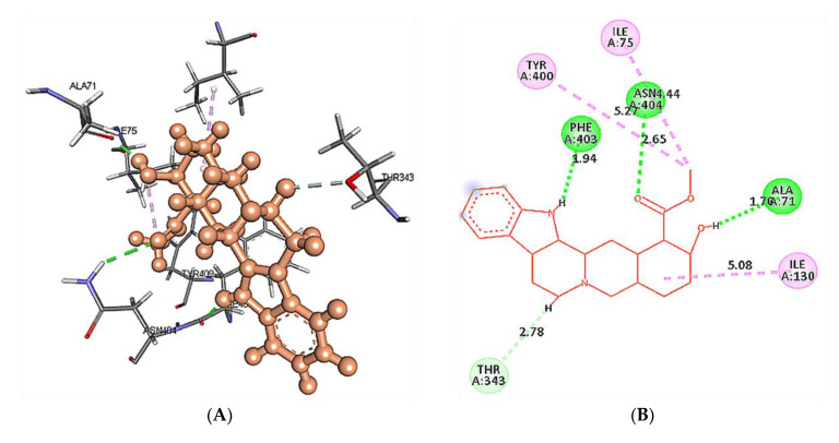 Figure 14