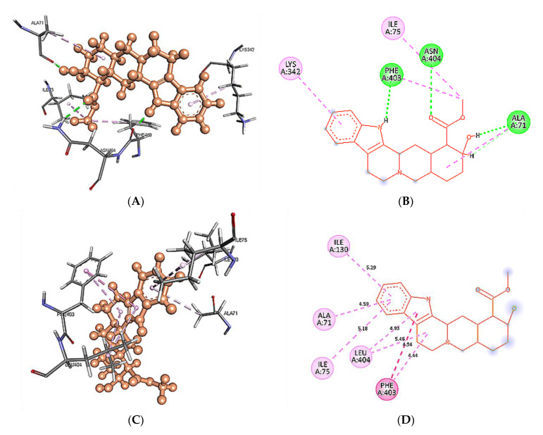 Figure 11