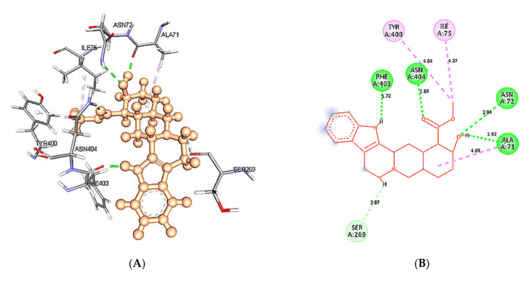 Figure 13